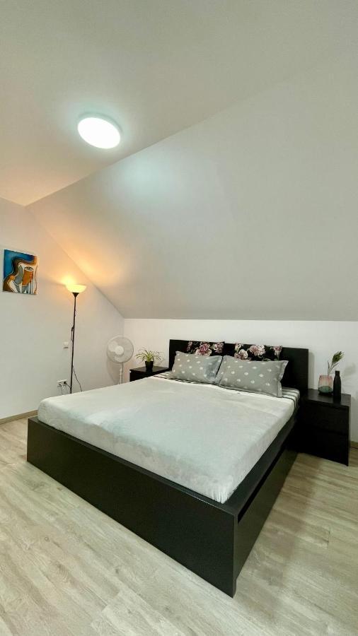 Ferienwohnung In Schoenbrunn Schonbrunn  エクステリア 写真